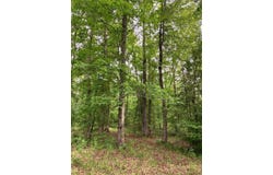 Blue Dunn Dr Lot 20, Murfreesboro, AR 71958