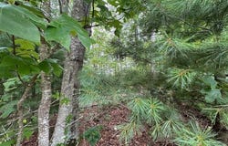 Tbd Antler Point, Hillsville, VA 24343