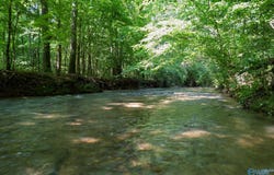 22.80+/- acres County Highway 26, Blountsville, AL 35031