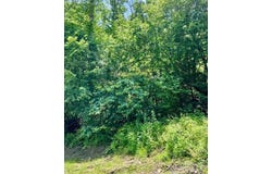 Green River Cove Road unit: 22 & 23, Saluda, NC 28773