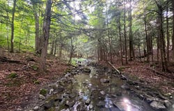 Eddy Pyrites Rd, Canton, NY 13617