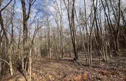 Tract 6 Venus Rd, Gladewater, TX 75647