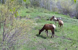 6391 Moffat County Road 1, Slater, CO 81653