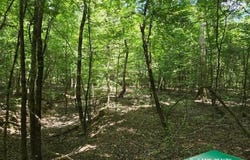 0 Platt Road, Marion, LA 71260