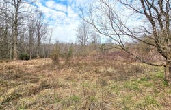0 Gladston, Mount Airy, GA 30563