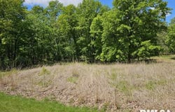 Lot 41 N DEER PARK Drive, Dix, IL 62830