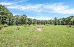 368 Sneed Road, Waskom, TX 75692
