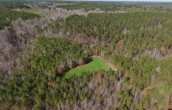 * Tortoise Road, Lisman, AL 36912