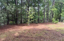 Tbd Rutledge Drive, Eutawville, SC 29048