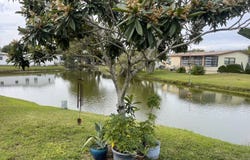165 Lakeview Dr., Plant City, FL 33565