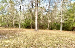 NHN Rue St Germaine, Carriere, MS 39426