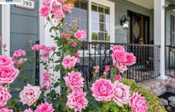 2090 Foxswallow Rd, Pleasanton, CA 94566