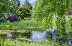 40211 DEERHORN RD, Springfield, OR 97478