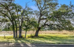 Lot 3 & 4 Vista Ridge, Round Mountain, TX 78663