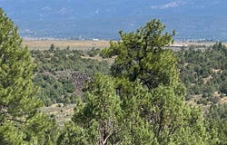 Tract D-4b-1 TBD, Tierra Amarilla, NM 87575