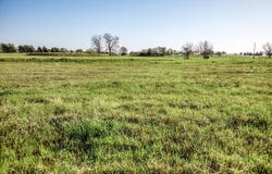 Tracts 10&11 Fieldcrest Ln, Burton, TX 77835
