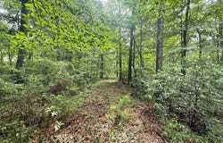 3042 Brandi Road, Summit, MS 39666