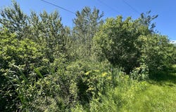 14371 STONEY POINTE ROAD, CHEBOYGAN, MI 49721