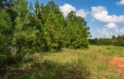 Vacant Pittman Hill Rd, Marianna, FL 32448