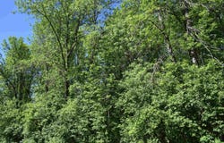 10XX W Bigelow St, Washburn, WI 54891