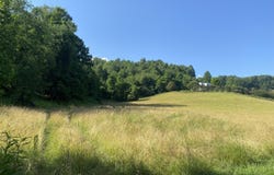 0 Rich Valley (9.23 Ac) Road, Abingdon, VA 24210