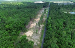 0 Wilbur Pridgen Rd., Harrells, NC 28444