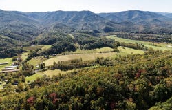195 HINKLE MT Road, MOOREFIELD, WV 26836