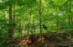 #8 W HARP HOLLOW Road, Peoria, IL 61607