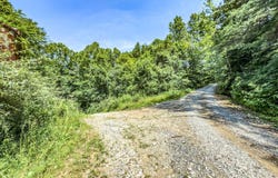 0 Layfield Run Rd, Cairo, WV 26337