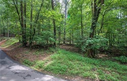 0 Apple Road, Ranger, GA 30734