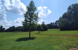 4417 OLD FAYETTEVILLE ROAD, SYLACAUGA, AL 35151