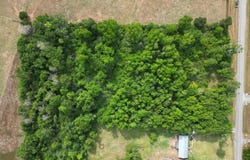 2000 Molino Road, Molino, FL 32577