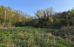 Tr-2 BOATMANS MOUNTAIN-TR 2 Rd, Morristown, TN 37814
