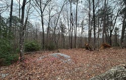 620 Blackberry Lane, Clarkesville, GA 30523