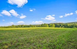 137  Stone Ridge Dr, Charlotteville, NY 12093