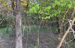 W Greenwood DR, Diamond City, AR 72644