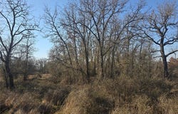 1017 VH Ranch Road, Poolville, TX 76487