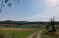 TBD Ripley Rt V, Doniphan, MO 63935