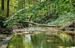 14899 Hodgenville Road, Mount Sherman, KY 42764