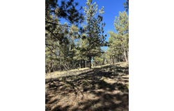 44 Horn Silver Dr, Westcliffe, CO 81252