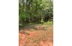 0 Conecuh St, Greenville, AL 36037