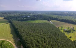0 County Road 93, Anderson, AL 35610