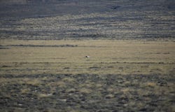 2 Buzzard Road, Rawlins, WY 82301