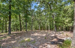 122 Whispering Hill Drive, Blue Eye, MO 65611