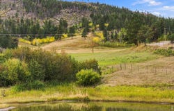 14133 Rist Canyon Rd, Bellvue, CO 80512