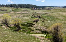 0 Hwy 83, Franktown, CO 80116