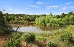 1441 Co Rd 362, Dickens, TX 79229