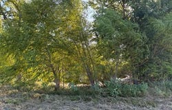 19 County Road 2200, Pecan Gap, TX 75469