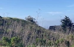 588 Chaney Avenue, Cayucos, CA 93430