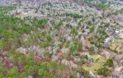 Gaston Road, Mount Ida, AR 71957